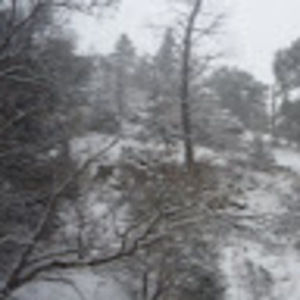 Meet your Posher, Rosy